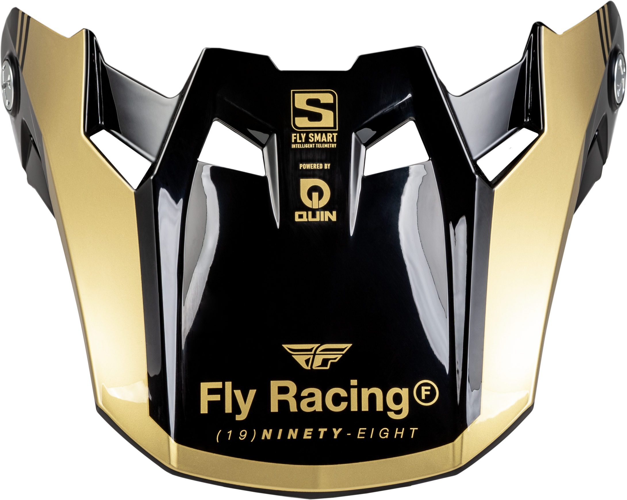 FORMULA S CARBON LEGACY VISOR BLACK/GOLD YL/SM